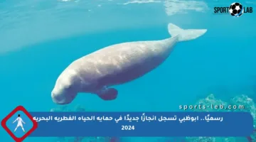 رسميًا.. أبوظبي تسجل إنجازًا جديدًا في حماية الحياة الفطرية البحرية 2024